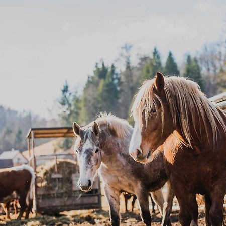 Farm Stay Zurej Šentjur Kültér fotó