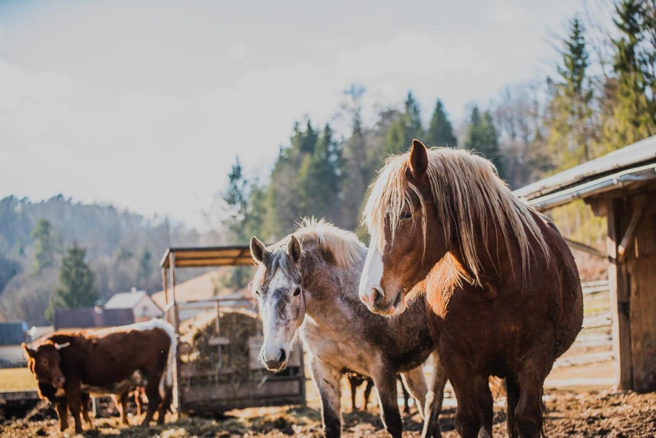 Farm Stay Zurej Šentjur Kültér fotó