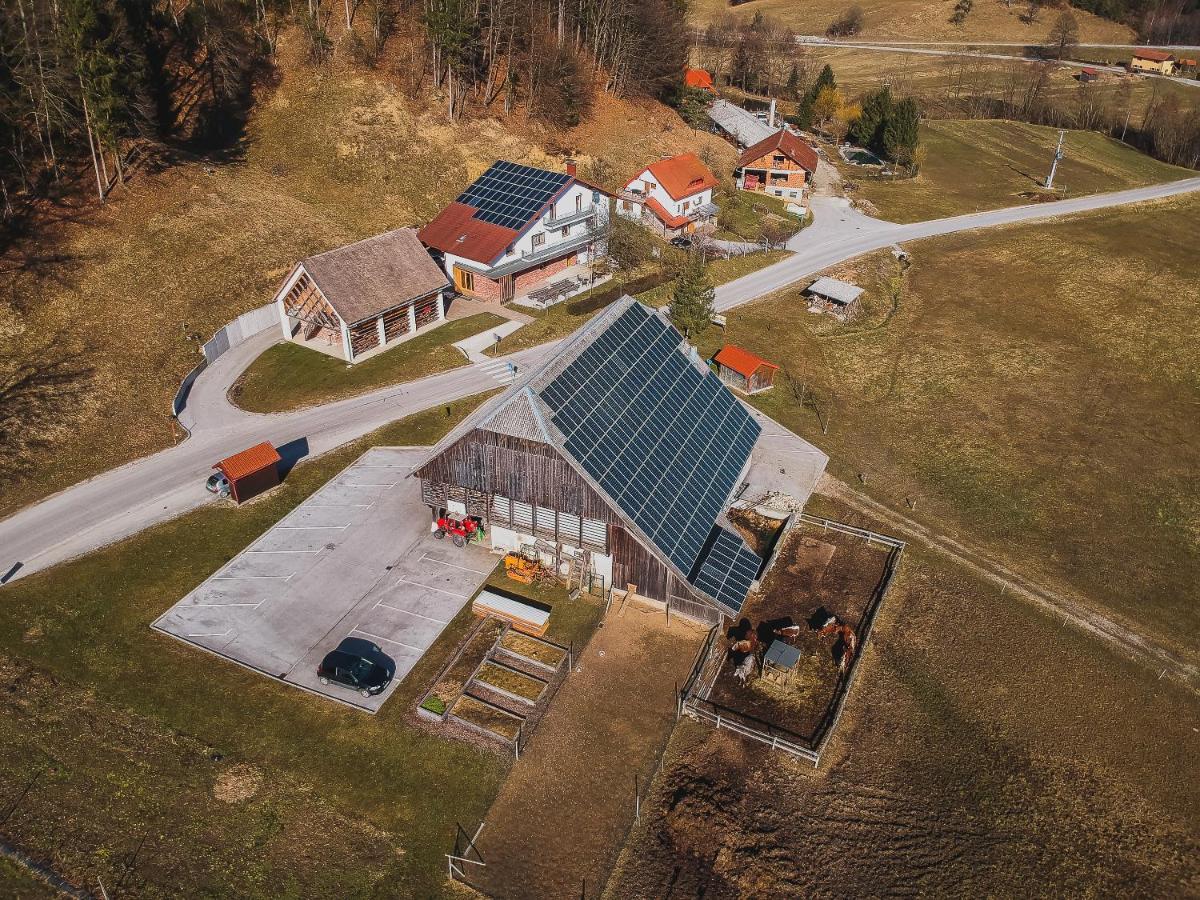 Farm Stay Zurej Šentjur Kültér fotó