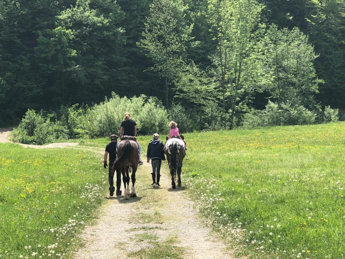 Farm Stay Zurej Šentjur Kültér fotó